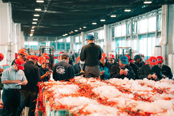 お歳暮にカニを贈る完全ガイド｜選び方から贈り方まで上野水産が徹底サポート