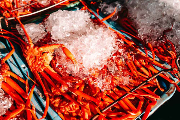 鳥取県・境港の水産業の歴史 上野水産と共に歩む漁港町の発展