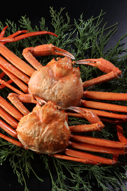 蒸し紅ずわいがに爪付肉 (4L)