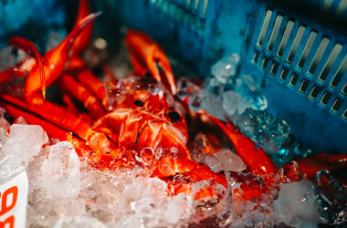 鮮度抜群の素材