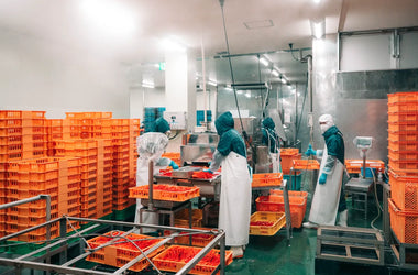 厳格な品質管理