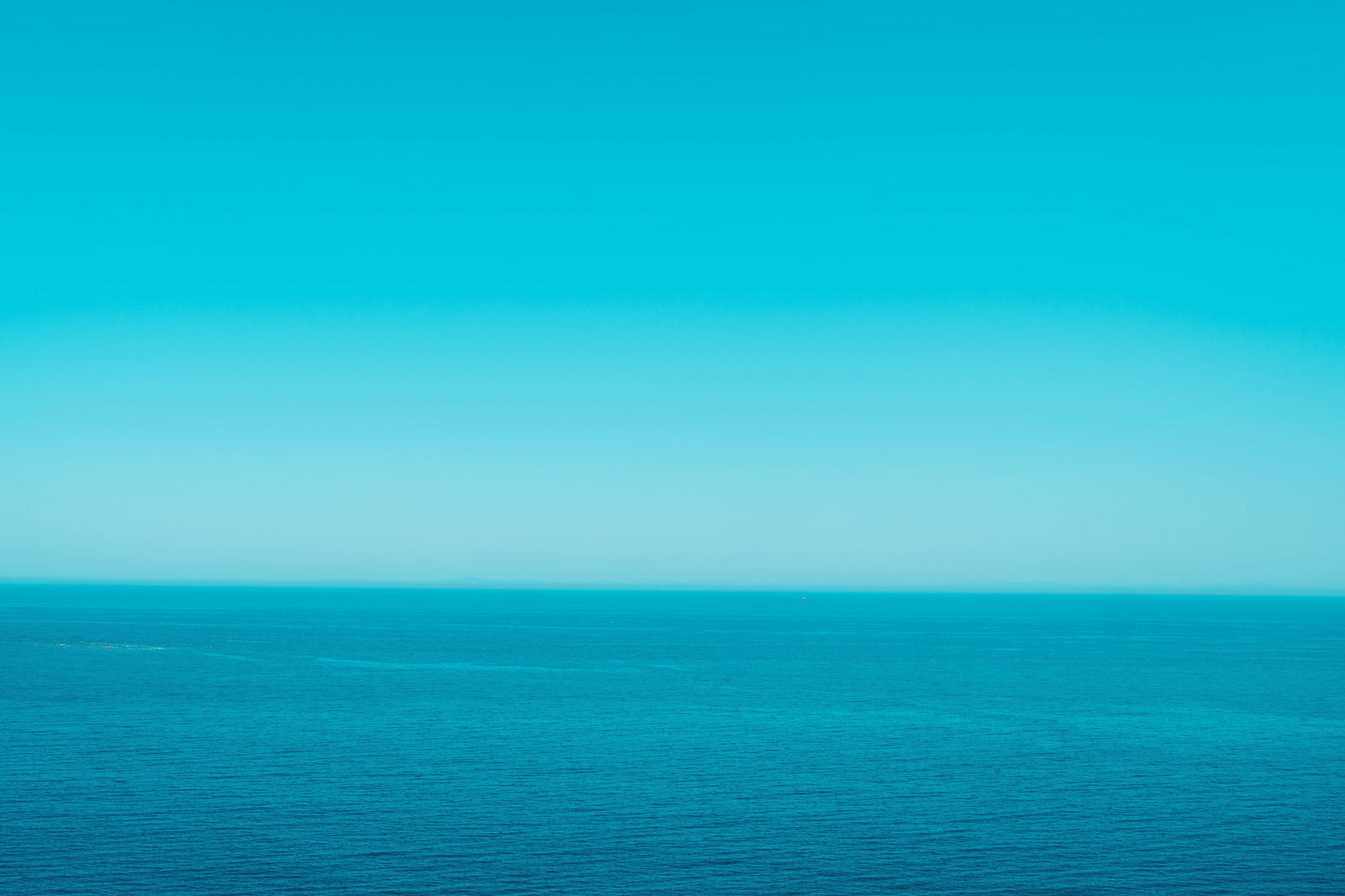 わたしたちの想い